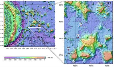 Biodiversity and community structures across the Magellan seamounts and abyssal plains in the western Pacific Ocean revealed by environmental DNA metabarcoding analysis